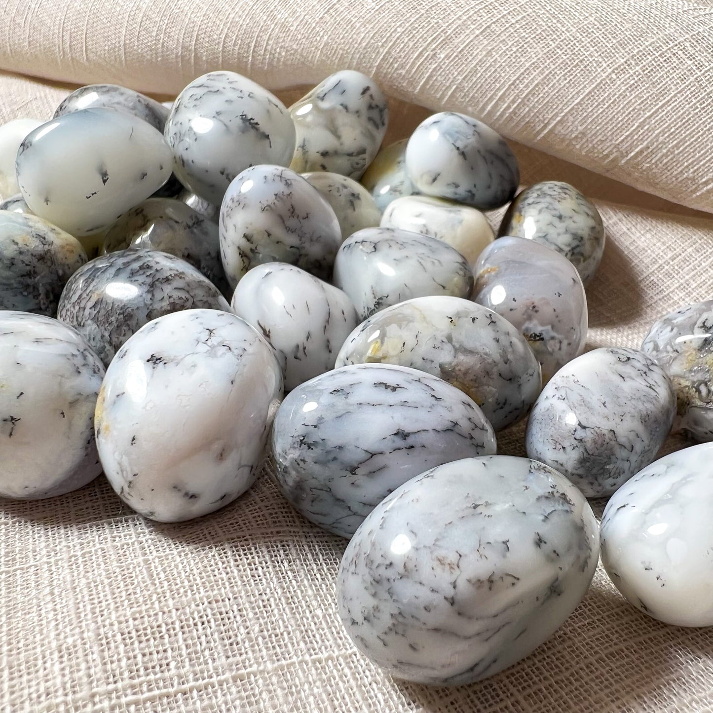 Dendritic Agate Tumble